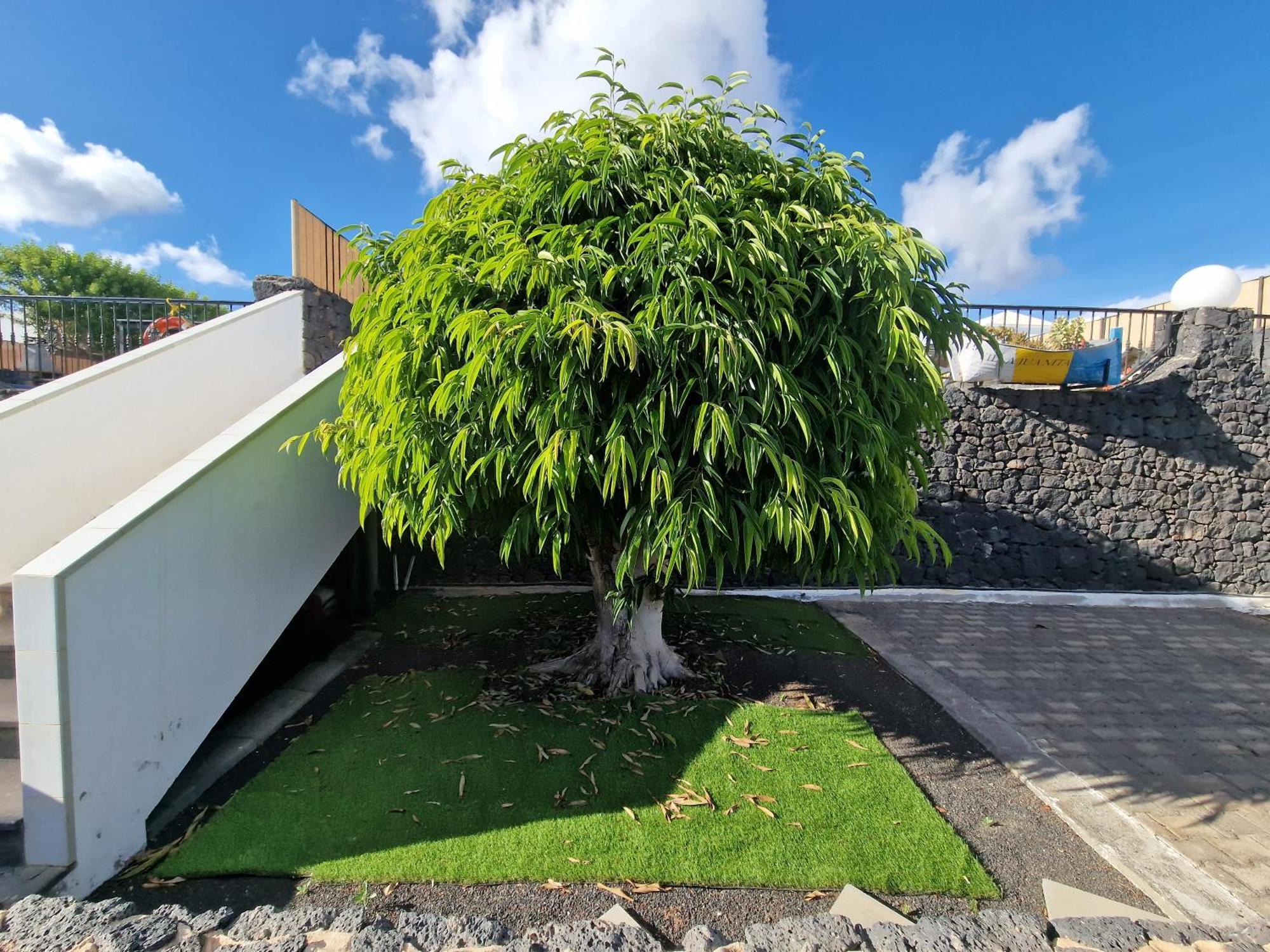 Villa Juanita, Puerto Del Carmen, Lanzarote Tias Bagian luar foto